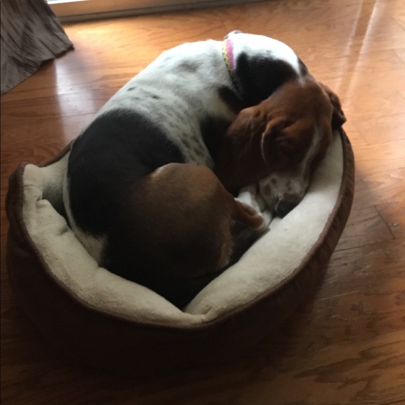 Hello friends! - Picture 7 of 16